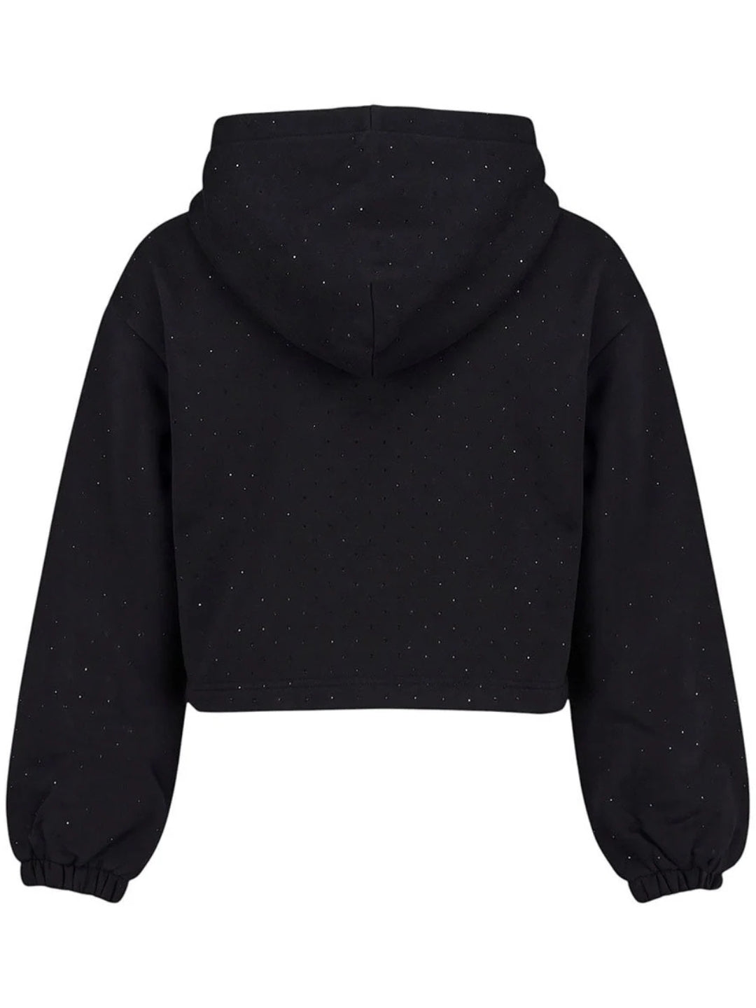 Felpa cropped da ragazza con cappuccio e strass ton sur ton all over  26IDK59264