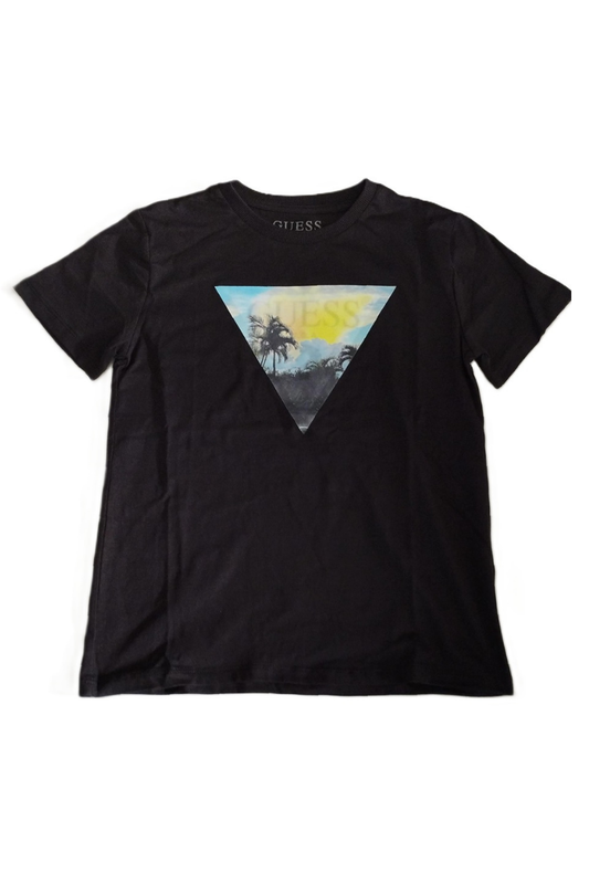 T-shirt da ragazzo con maxi triangolo loggato a fantasia hawaii stampato sul davanti L6GI25K8HM4