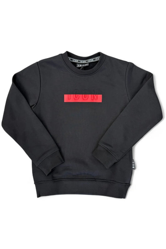 Felpa da ragazzo in cotone garzato con logo lettering impresso in rilievo a contrasto colore IBSW00842